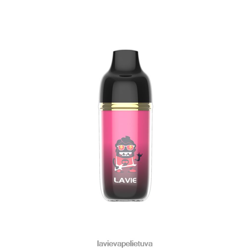 N226RV243 Lavie Vape Price | vynuogių ledas LAVIE Monster 6000 išpūtimų
